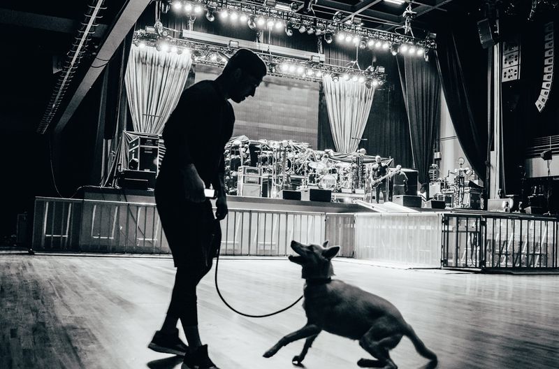 Silhouette walking a prancing dog across an empty venue floor